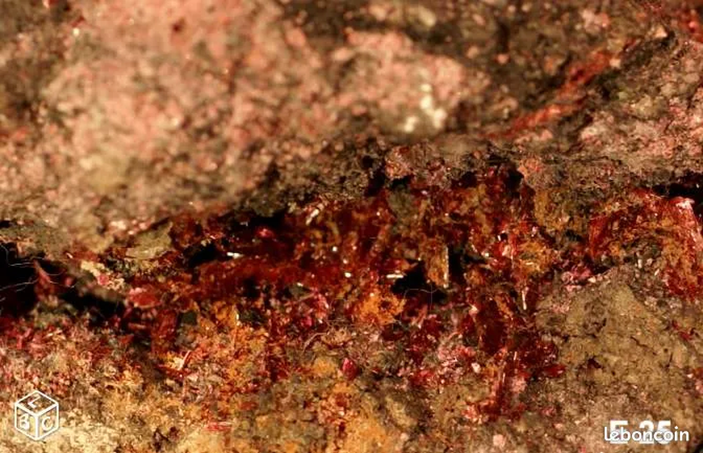 ERYTHRINE 25 : Min&eacute;raux de collection 