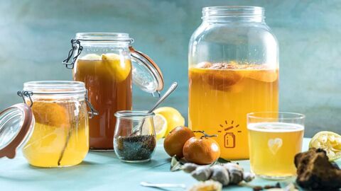 kombucha scoby 0 Ch�teauneuf-du-Faou (29)