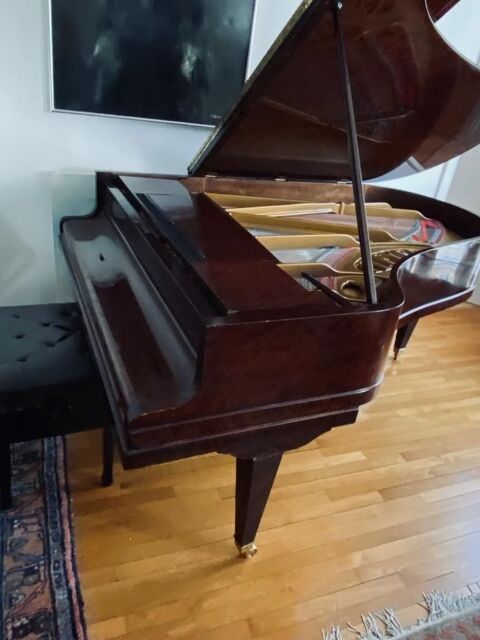 Piano 1/2 queue Pleyel 15000 Paris 9 (75)