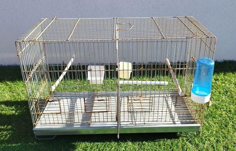 Cages oiseaux 1 30000 N�mes