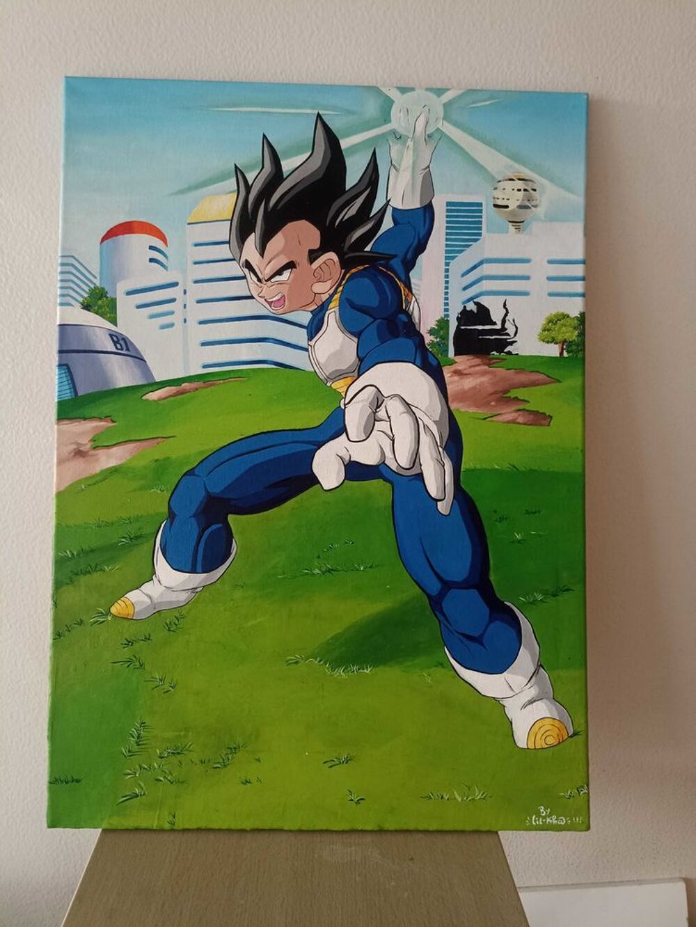 de tableau d&eacute;co dragon ball Z Décoration