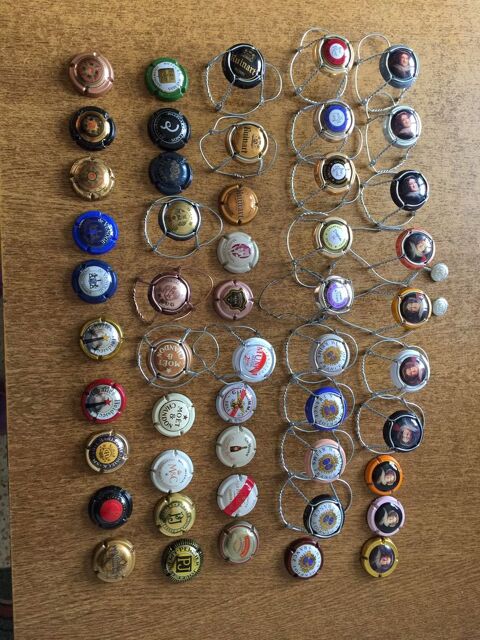 50 Capsules de Champagne 15 Reims (51)