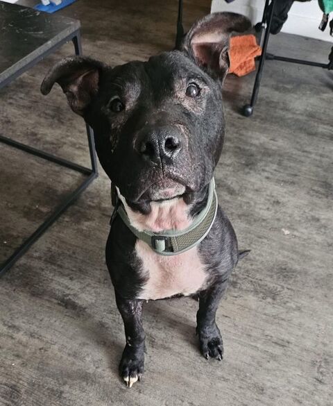 Paco 330 59200 Tourcoing