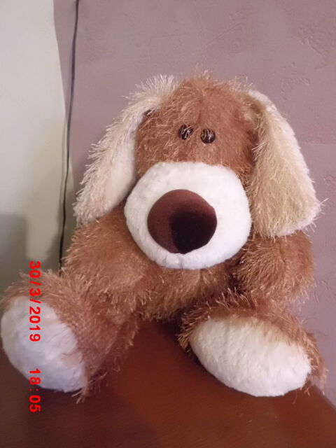 CHIEN MARRON ET BEIGE ARTE MODEL 16 Oignies (62)