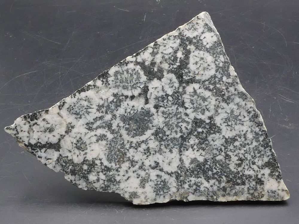 Diorite orbiculaire (Corsite , Napol&eacute;onite) 