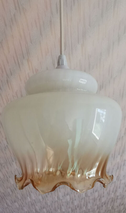 Suspension tulipe vintage '70 18 Wittelsheim (68)
