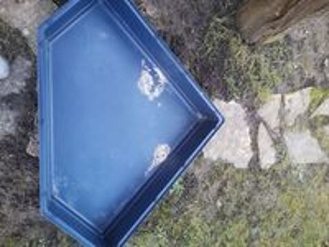   Cage pour lapin pliante 