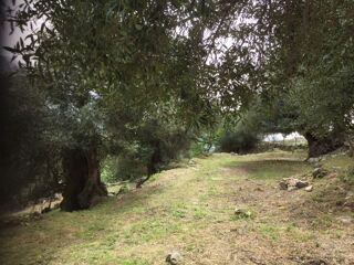  Terrain à vendre 3400 m² Calvi