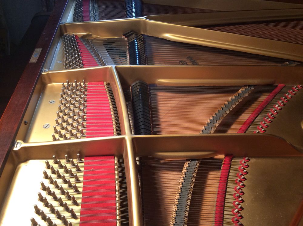 piano 1/2 queue 204cm 
Instruments de musique
