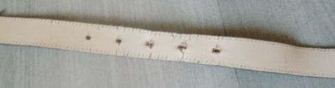 ceinture 105cm 1 La Motte-d'Aveillans (38)