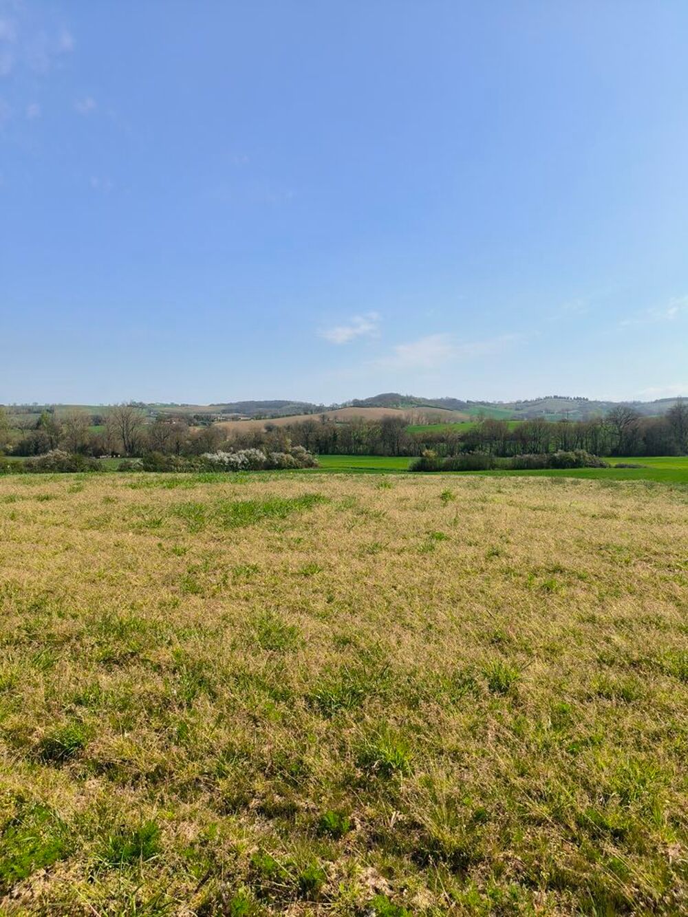 Vente Terrain Terrain constructible 1200m2 Gers Saint-Élix