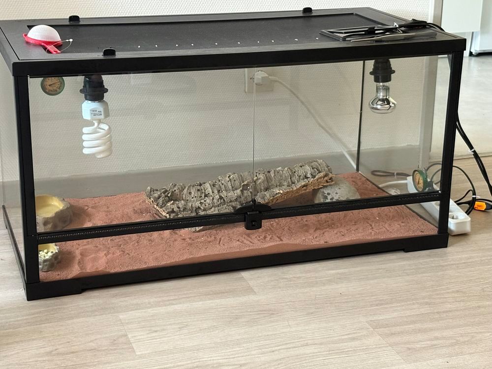   Terrarium pour pogona  
