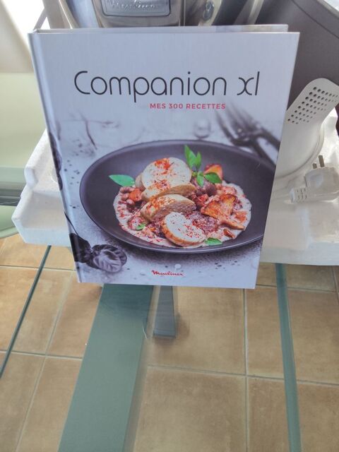 Robot cuiseur multifonctions 
Moulinex companion Touch XL 420 Nice (06)