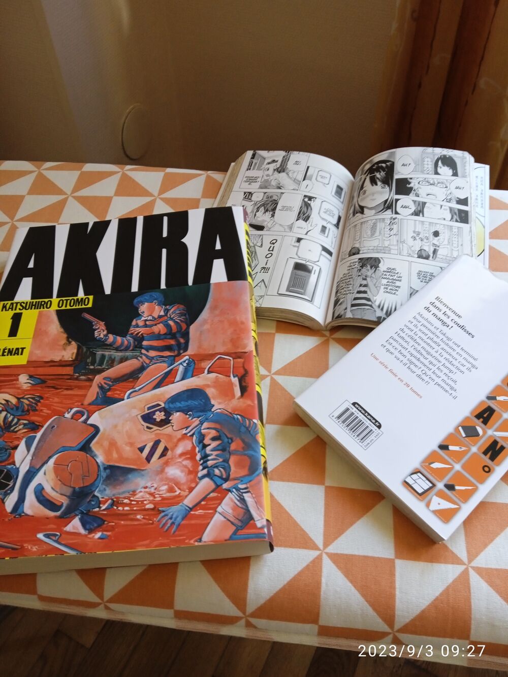 livres MANGA Livres et BD