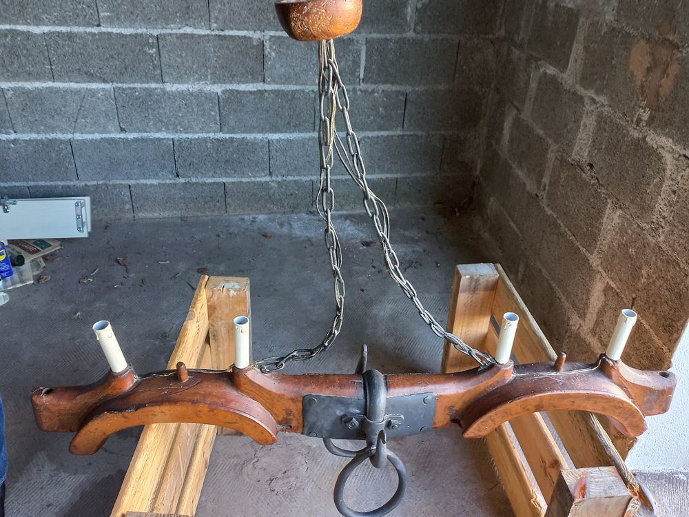 JOUG DE BOEUF ELECTRIFIE Décoration