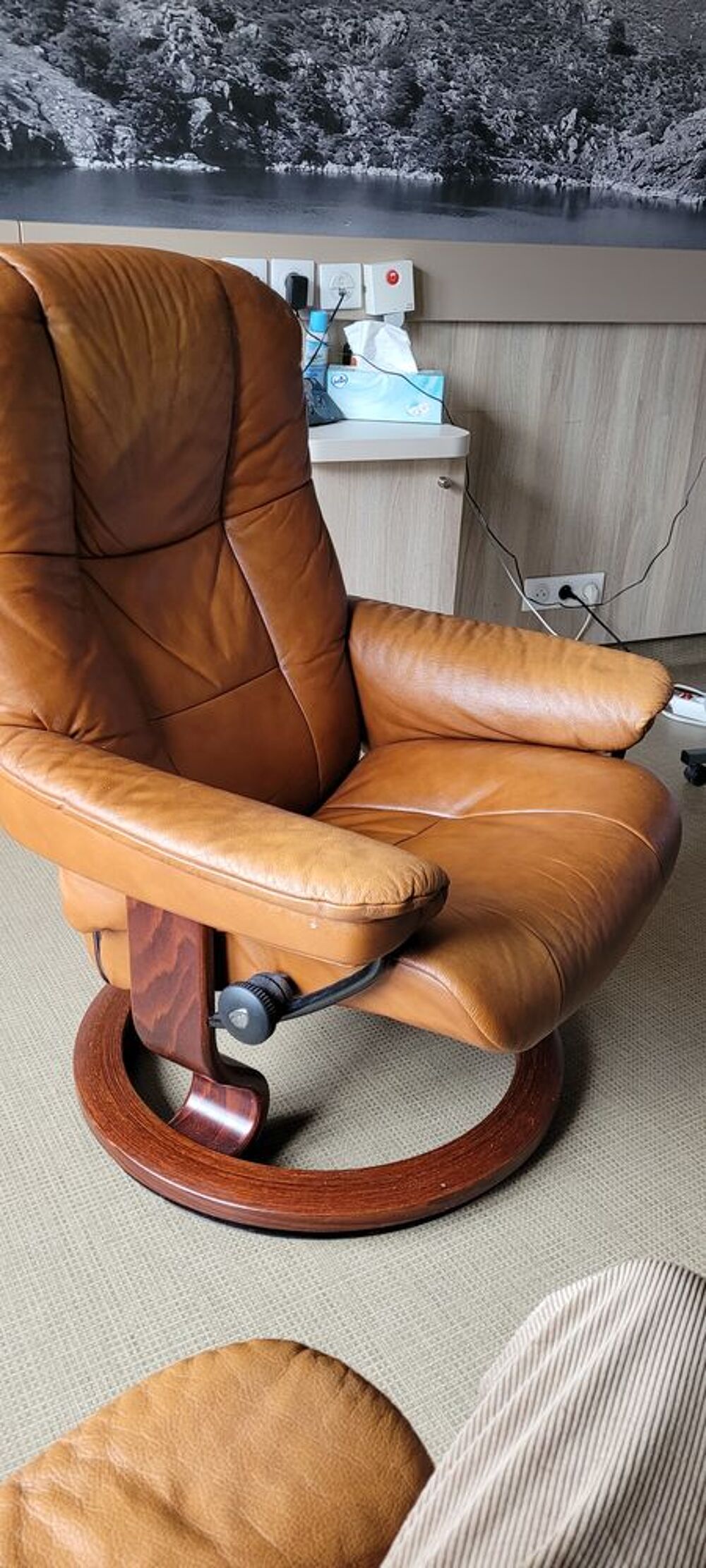 FAUTEUIL STRESSLESS Meubles