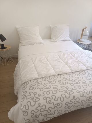  Appartement à louer 1 pièce 24 m² Strasbourg