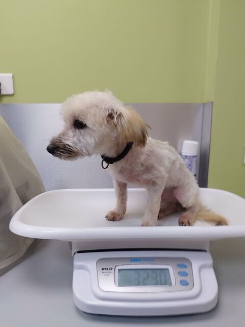 SAGA, moi aussi j'ai un grand coeur 350 60000 Allonne