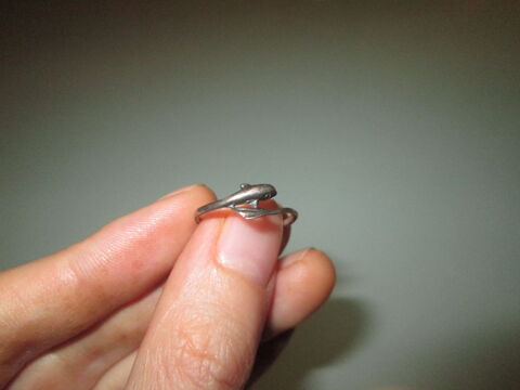 Bague dauphin en argent 10 La Grand-Combe (30)