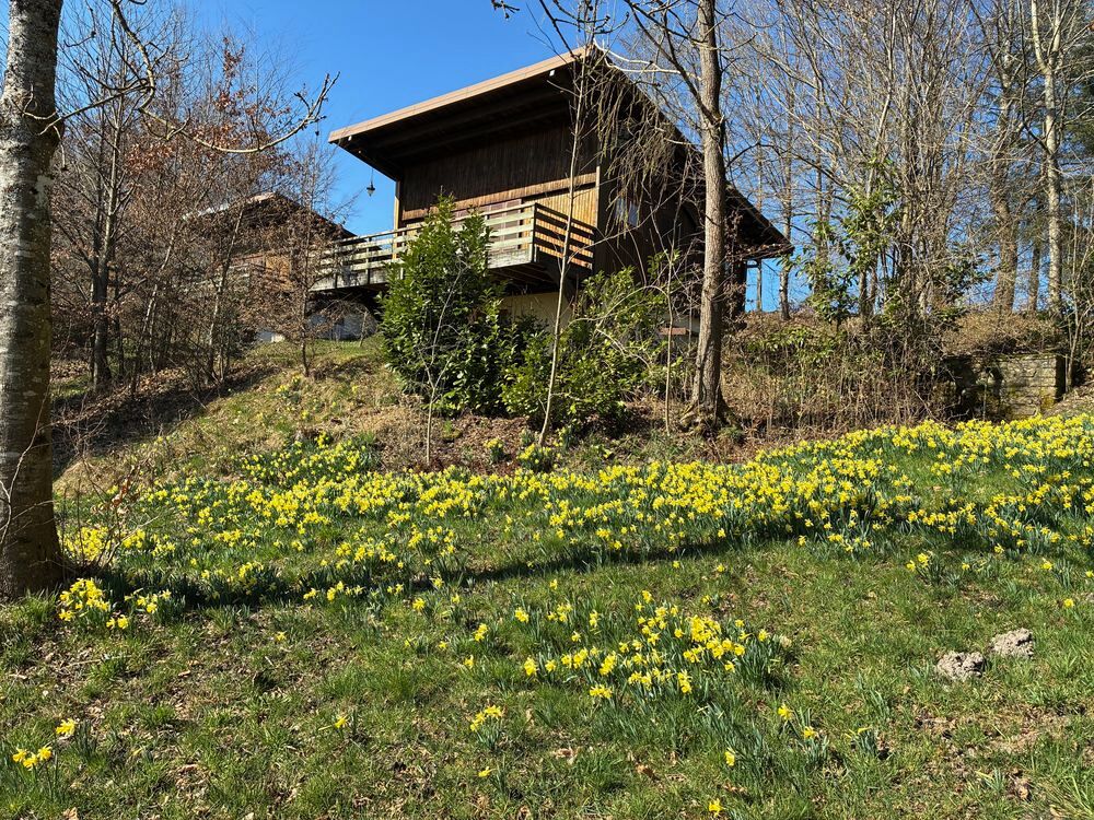   Chalet à proximité du Gérardmer  Lorraine, Fays (88600)