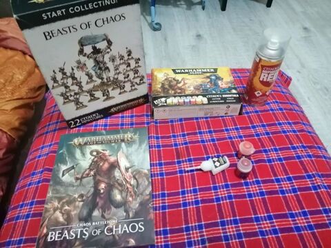 Warhammer Age of Sigmar Beasts of Chaos + matos 90 Toulouse (31)