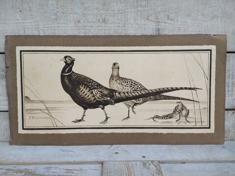 Paul MARCUEYZ Lithographie Faisans et Grenouilles Chasse
1 Loches (37)
