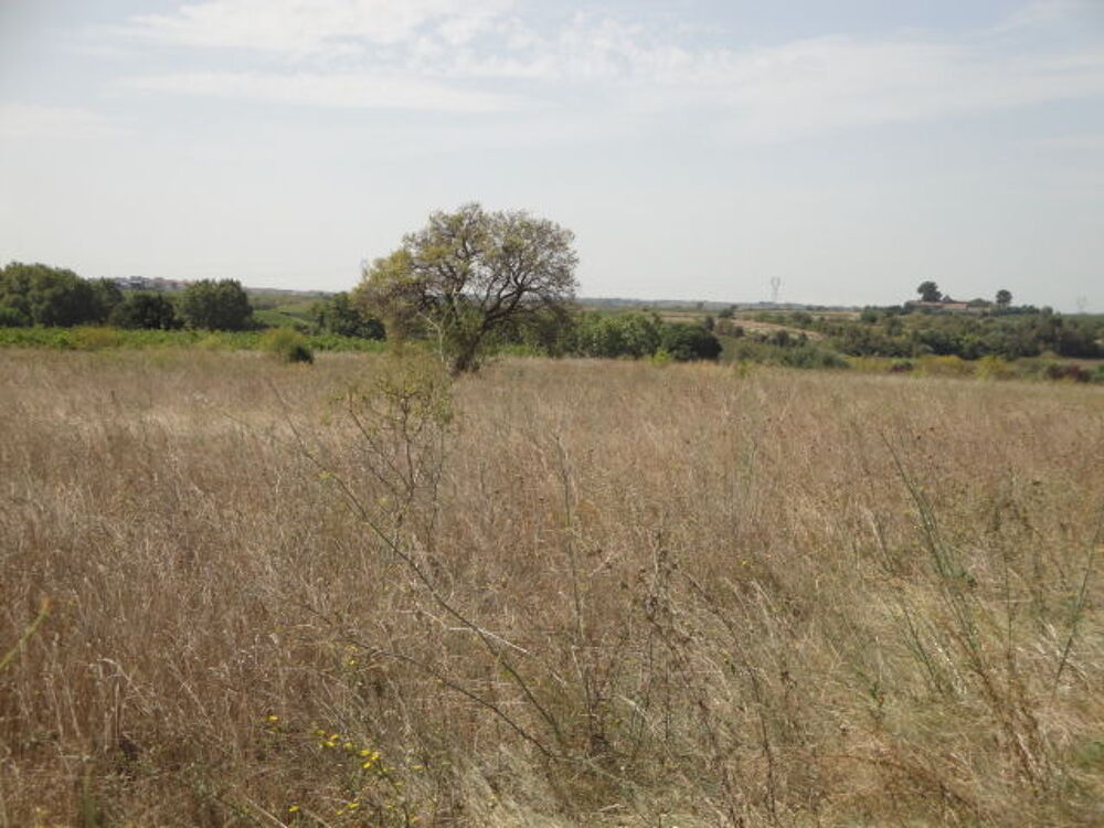 Vente Terrain Terrain agricole de 9343 m2 apte à passer constructible Nézignan-l'Évêque