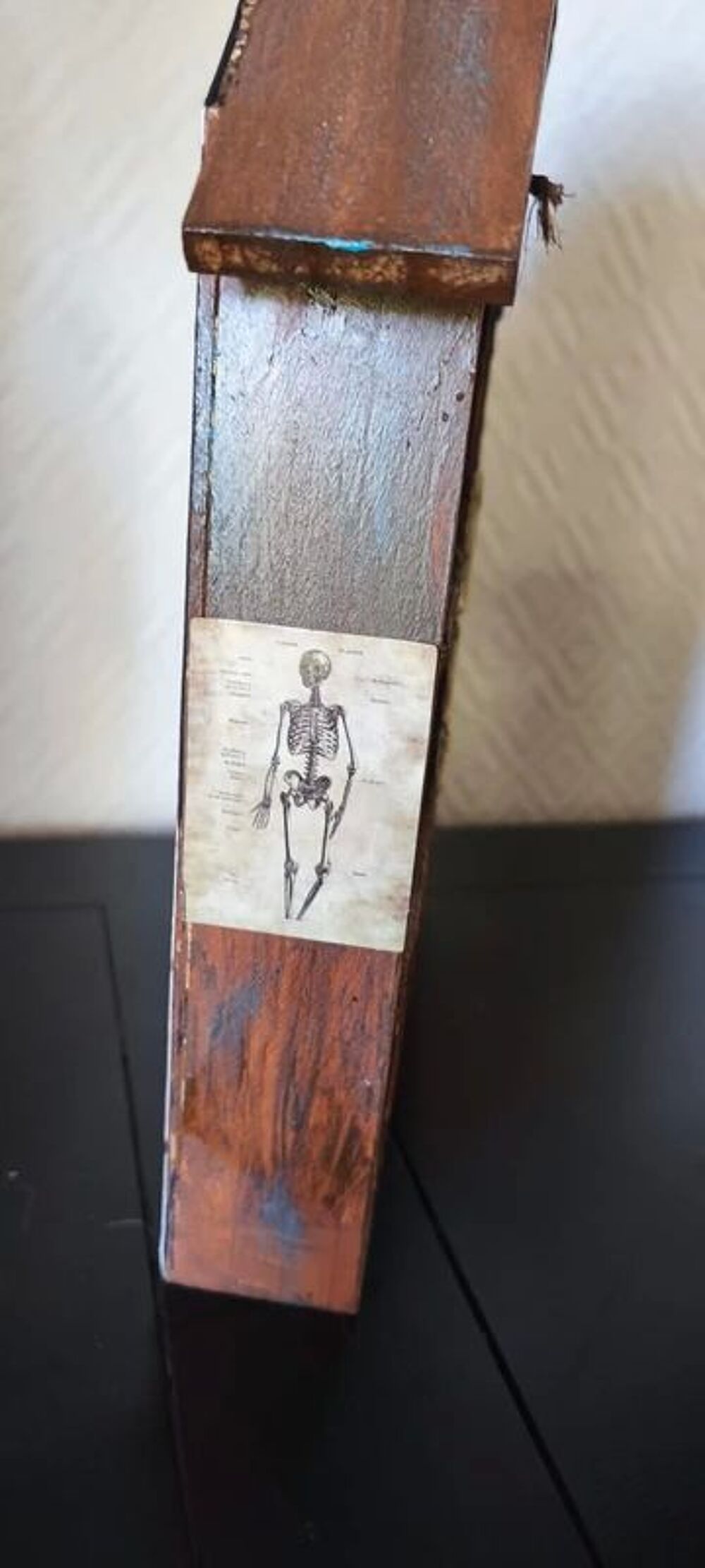 Petit cabinet de curiosit&eacute;s Décoration