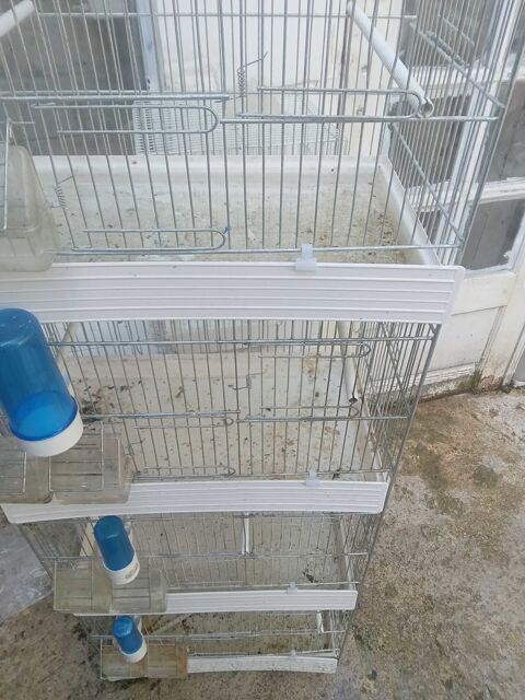 accessoires animaux Goussainville (95)