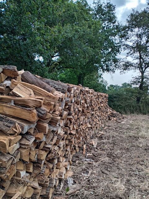 Bois de chauffage.
Genneton (79)