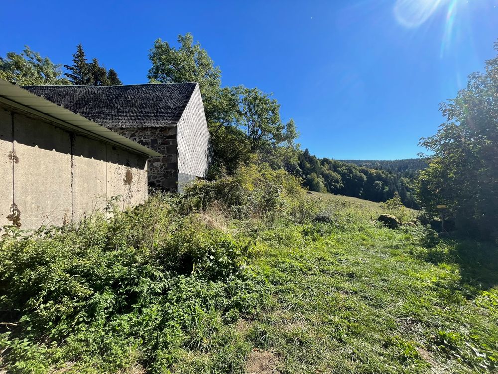 Vente Maison Ancienne ferme à rénover + terrains La bourboule