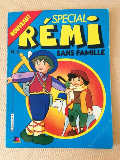  BD REMI SANS FAMILLE N�2 10 Villiers (86)