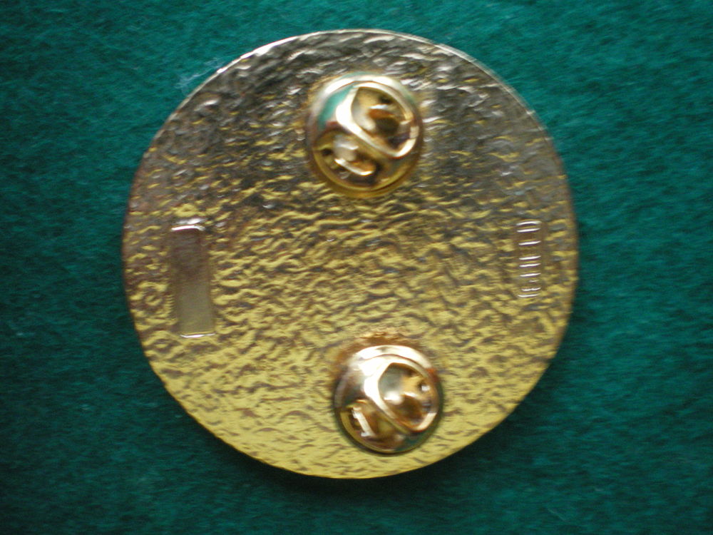 Insigne de Sant&eacute; - Groupement Sant&eacute; Kosovo. 