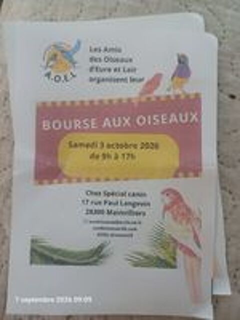   Bourse aux oiseaux le 3 octobre 26 
