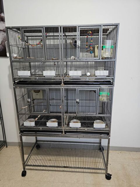 voli&egrave;re 150 18600 Sancoins