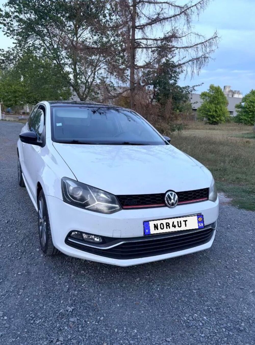Polo 1.4 TDI 90 BlueMotion Technology Sportline 2014 occasion 81300 Graulhet