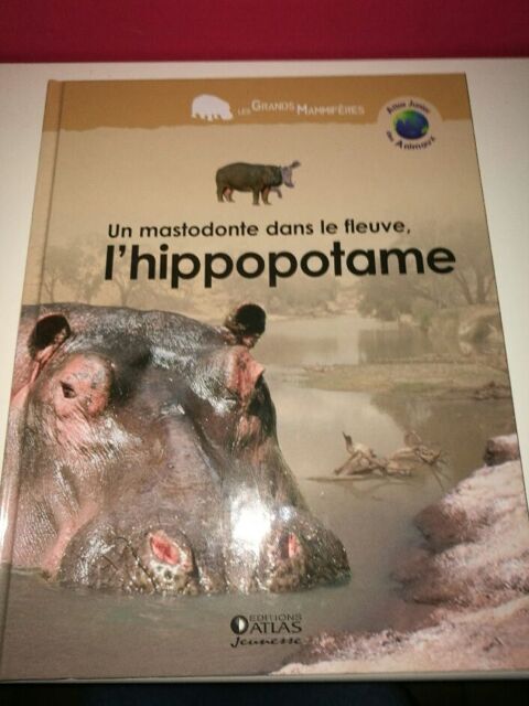 L'HIPPOPOTAME  10 Villiers (86)
