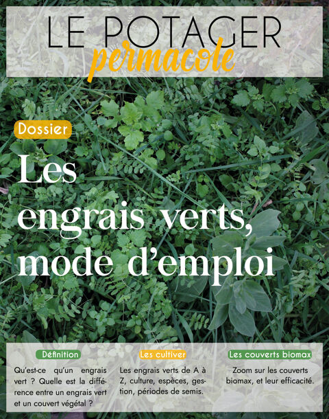 engrais vert permaculture 9 Saint-Paul-Trois-Chteaux (26)