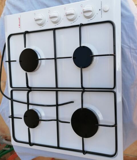 Plaque cuisson. 80 Escalans (40)