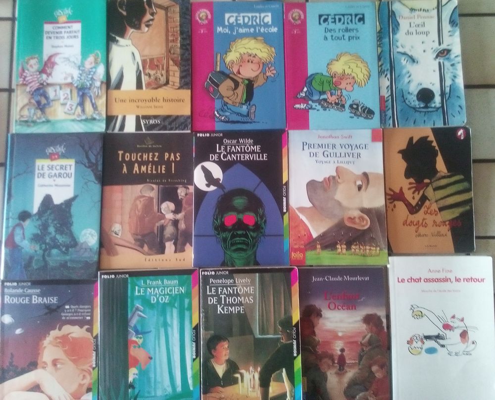 Lot 15 romans litt&eacute;rature jeunesse 7-12 ans Livres et BD