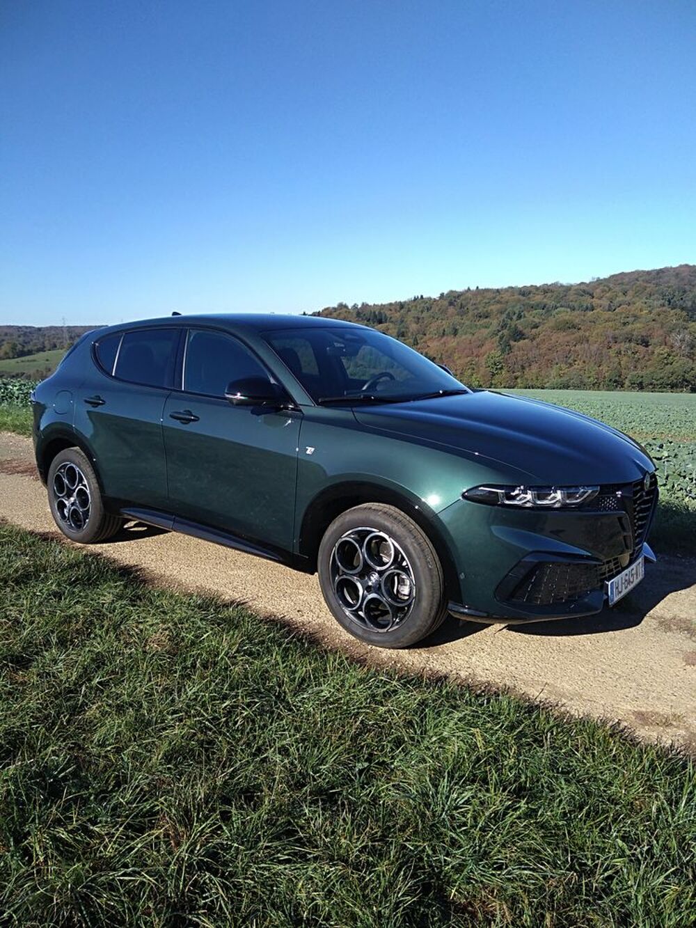 Tonale ALFA ROMEO TONALE 1.5 HYBRIDA 175 TI 2026 occasion 25200 Montb&eacute;liard