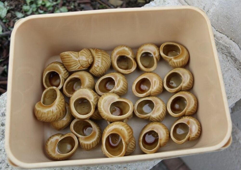 Ramequins &agrave; escargots Cuisine