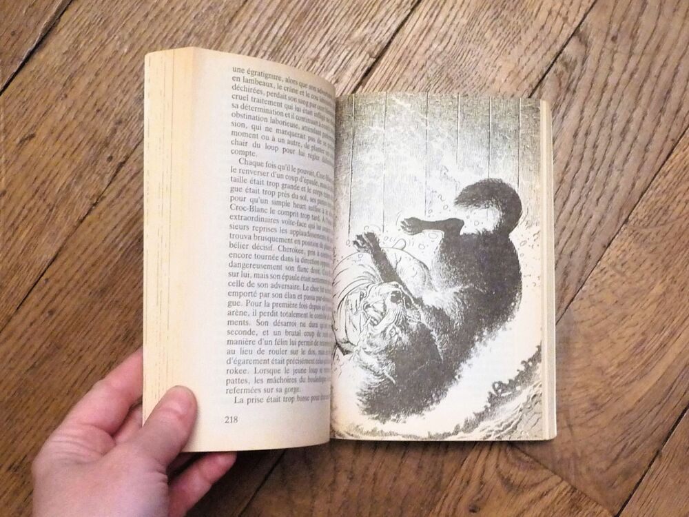 Croc Blanc- Jack London- Editions Gallimard- Folio Junior Livres et BD