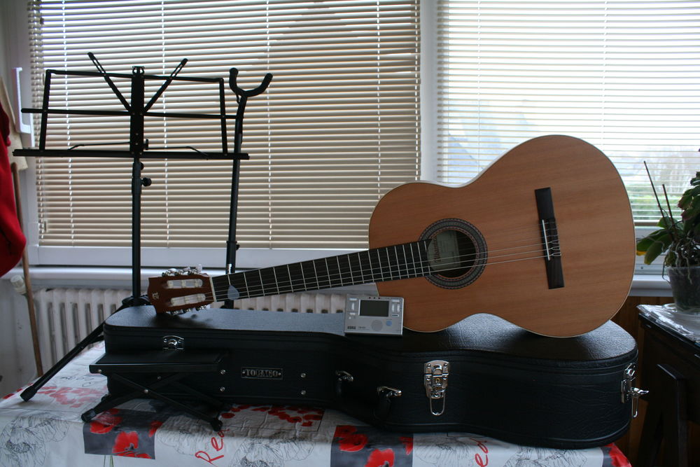Guitare Instruments de musique