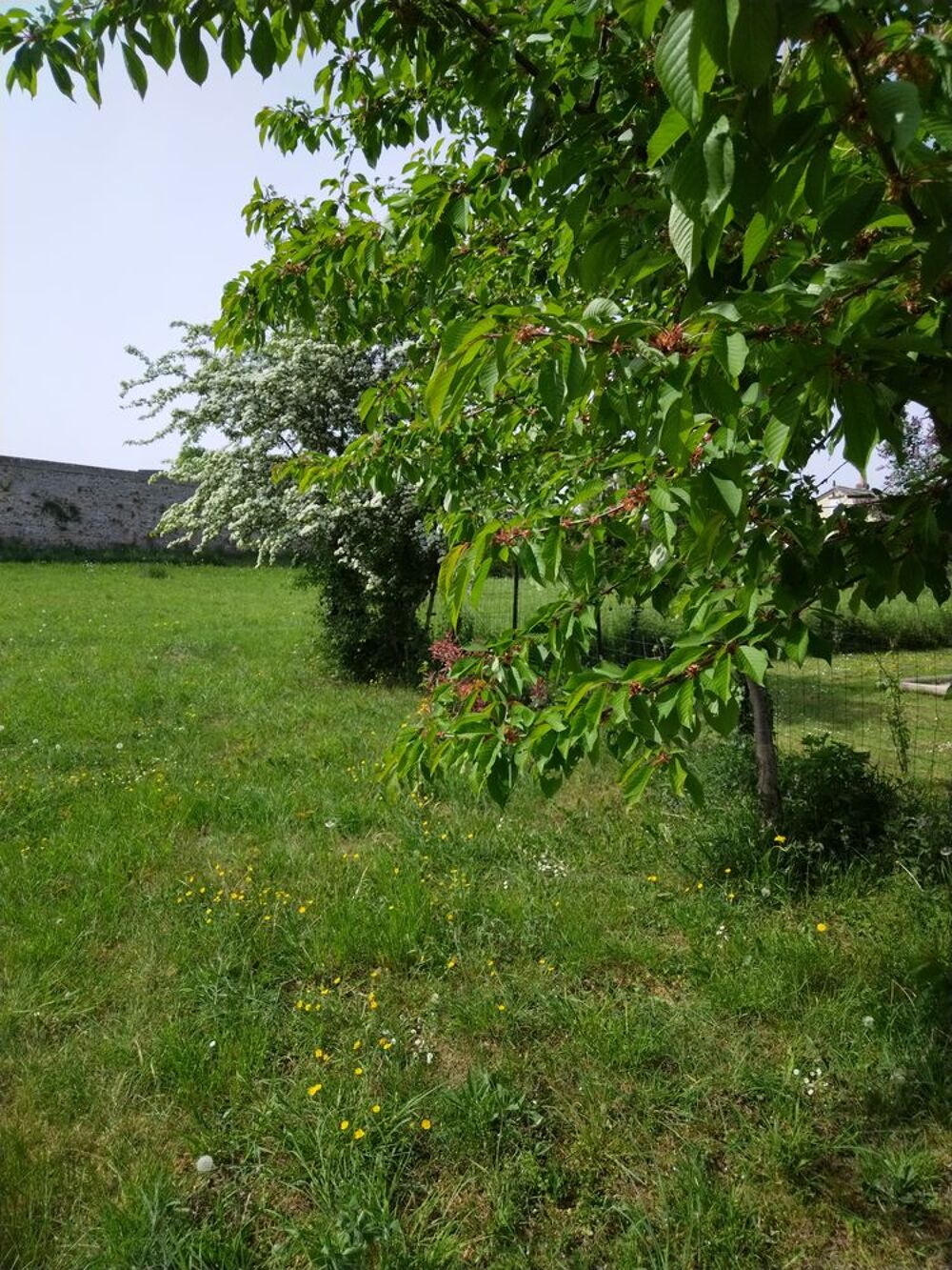 Vente Terrain Terrain Verger et potager au c?ur de Longny au Perche Longny-au-perche
