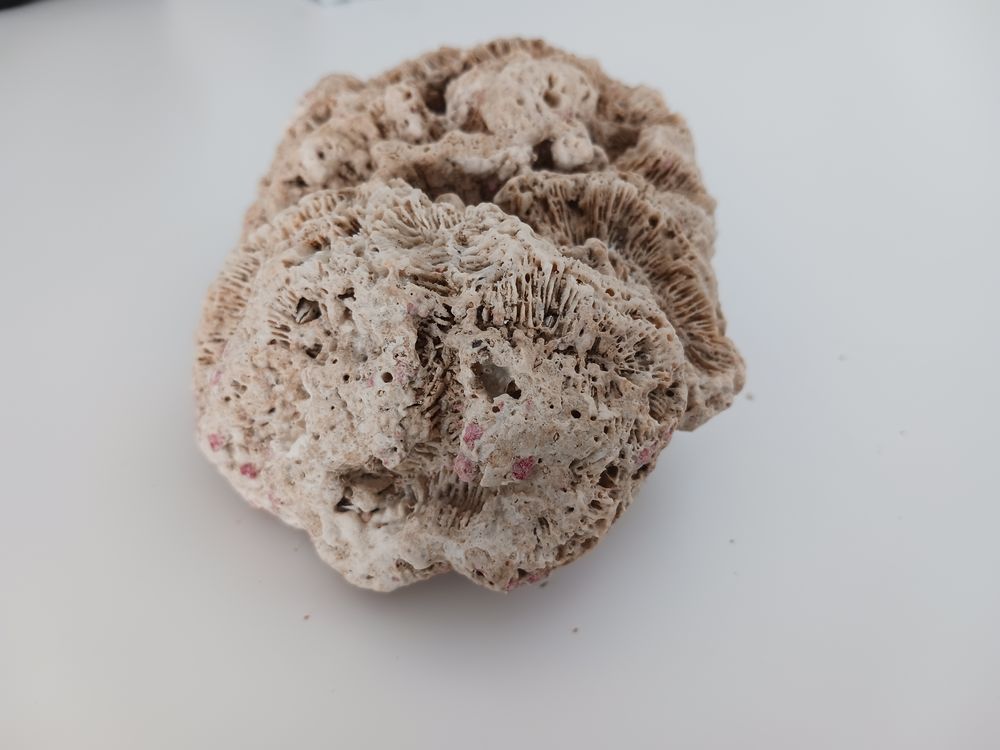 Kaolinite necker 