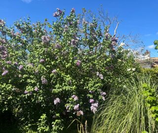  Maison � vendre 4 pi�ces 108 m�