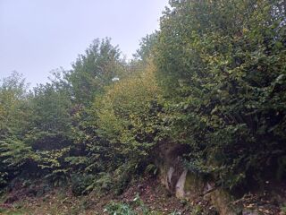  Terrain à vendre 3500 m² 