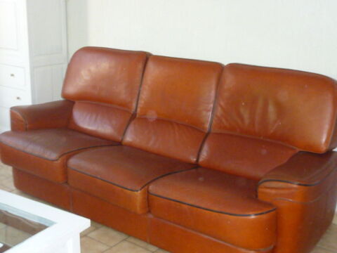 salon complet cuir de buffle couleur havane  canape +2 faute 1000 Vinassan (11)