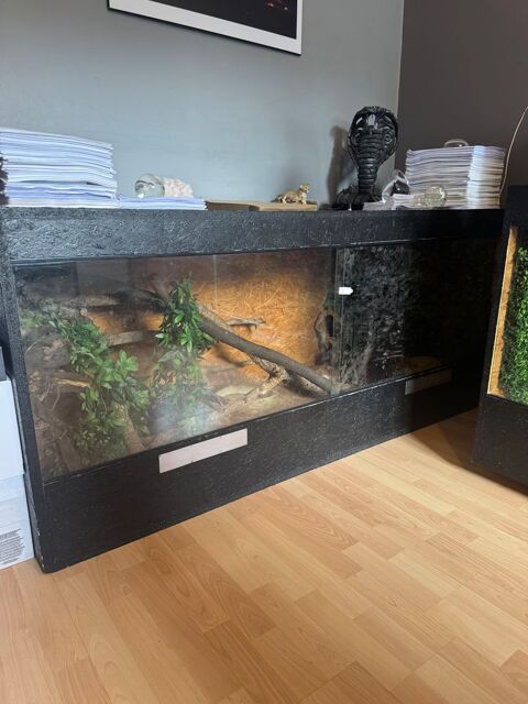 Terrarium + occupants 100 27940 Les trois lacs